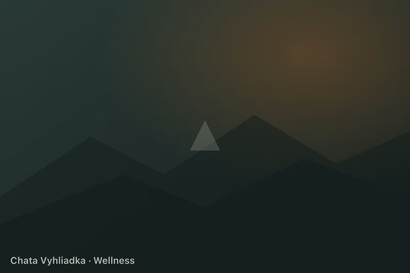 Wellness — fínska sauna